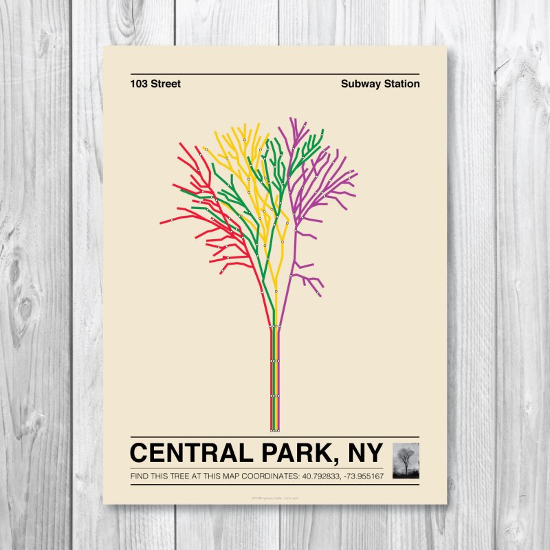 Central Park Tree II Poster