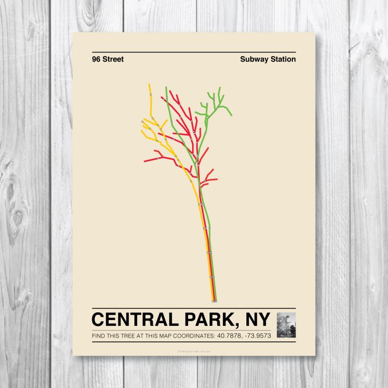 Central Park Tree Poster